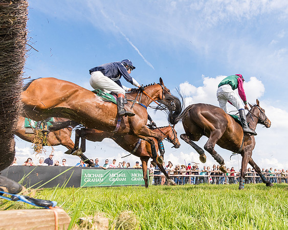 Race 5 - Restricted  (104 of 164)