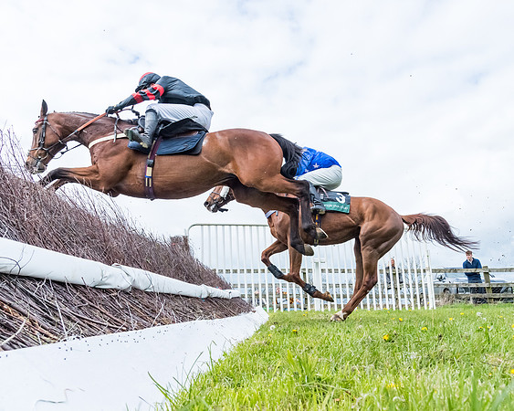 Race 2 - ROR and veteran Horse Conditions race (43 of 77)