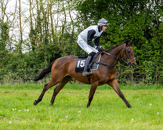 Race 3 - Young Horse Maiden (14 of 216)