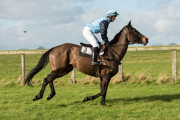 Race 3 - PPORA Members Novice Riders (15 of 84).jpg