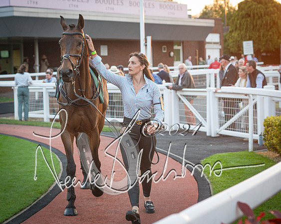 Race - 7 The Royal Gloucester Hussars Open Hunter's steeplechase 2m4f 127y (17 of 210)