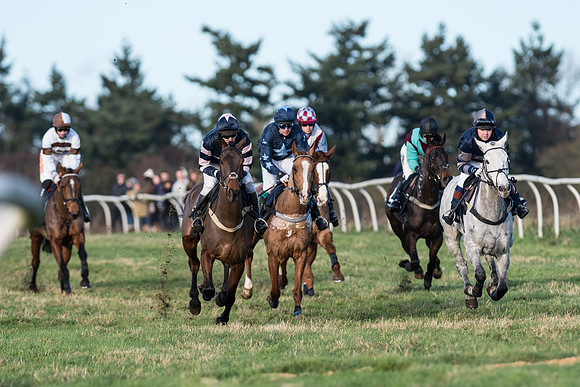 Race 5 - Restricted Race (40 of 107).jpg