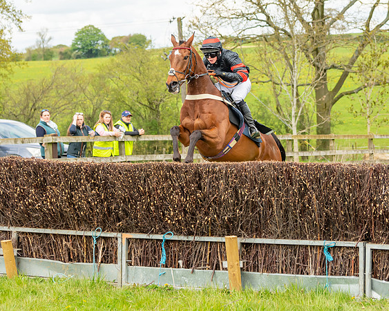 Race 2 - ROR and veteran Horse Conditions race (25 of 77)