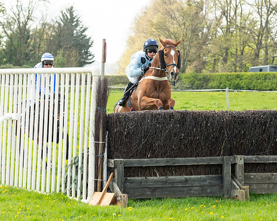Race 2 - Veteran Horse  (56 of 82)
