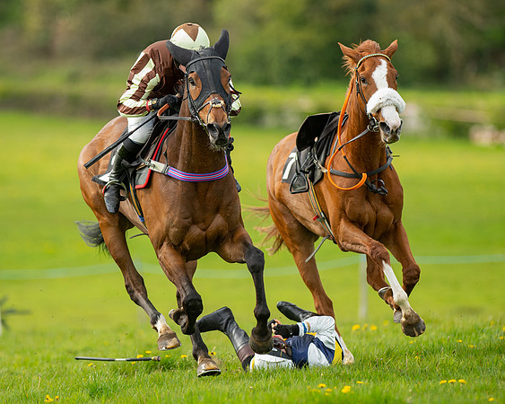 Race 5 - Open Maiden  (56 of 89)