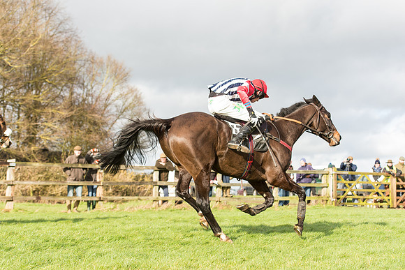 Race 3 - PPORA Members Novice Riders (63 of 84).jpg