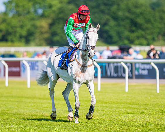 Race 1 - JFF Open Hunter Steeple Chase 2m  (14 of 202)