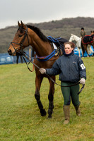 Race 1 - Div 1 - Young Horse Maiden (20 of 90).jpg