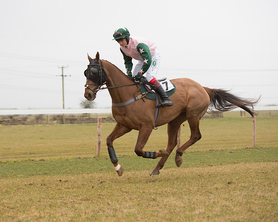 Race 6 - Open Maiden (67 of 120).jpg