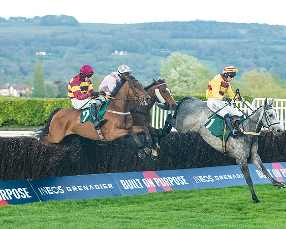 Race 5 - Mares Open  (131 of 329)