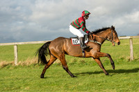 Race 2 - Young Horse Maiden (9 of 110).jpg