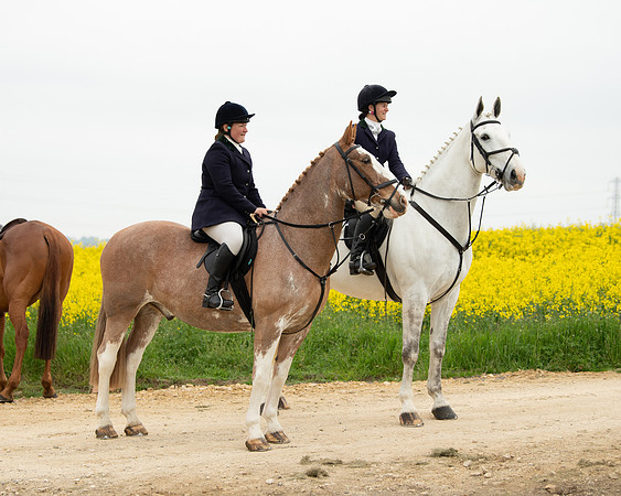 Hunt and Hounds (9 of 12)