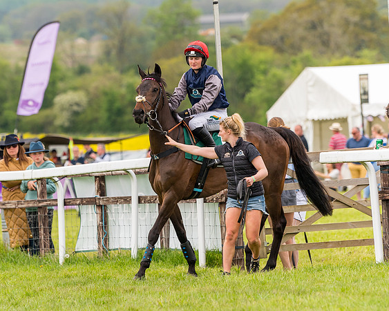 Race 7 - Veteran Horse conditions (85 of 244)