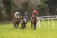 Race 1 - Young Horse Maiden (9 of 50).jpg