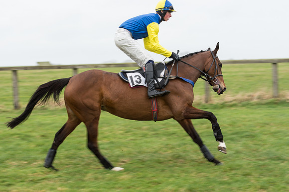 Race 7 - Open Maiden (20 of 131).jpg