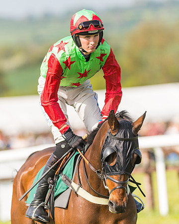 Race 5 - Restricted  (11 of 164)