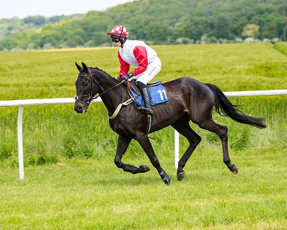 Race 1 - The Little Red owner Trainer conditions (87 of 345)