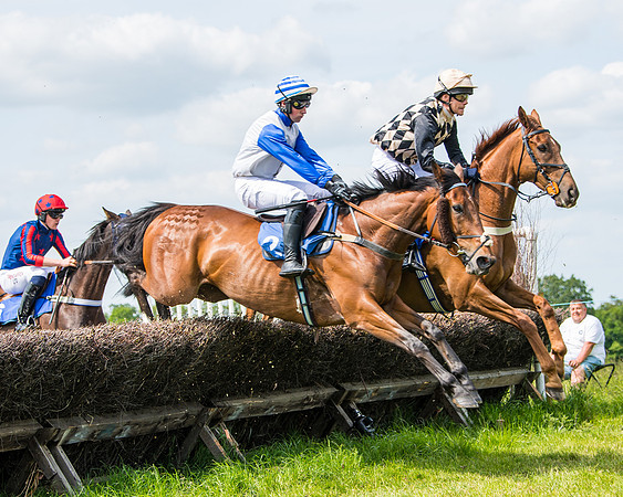 Race 2 - PPORA Novice Riders (211 of 444)