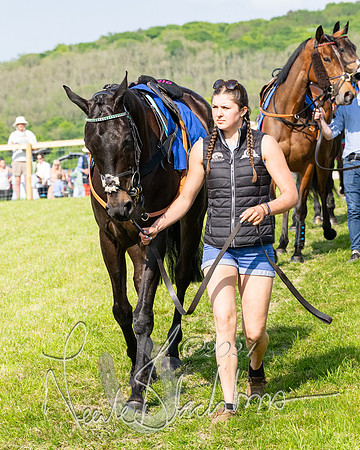 Race 5  - Maiden race 2m5F Div-2 (24 of 205)