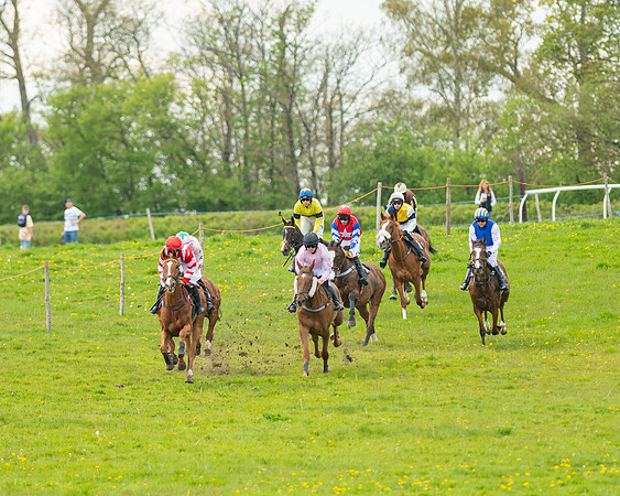Race 5 - Open Maiden  (3 of 89)