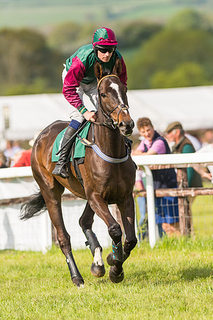 Race 5 - Restricted  (44 of 164)