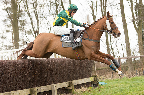 Race 2 - PPORA Novice riders  (116 of 186).jpg