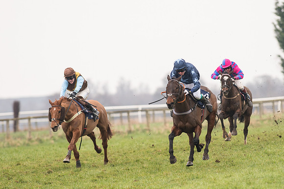 Race 5 - The Restricted Race (66 of 86).jpg