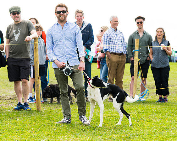 Dog show etc (42 of 157)
