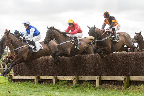 Race 2 - Young Horse Maiden (52 of 110).jpg
