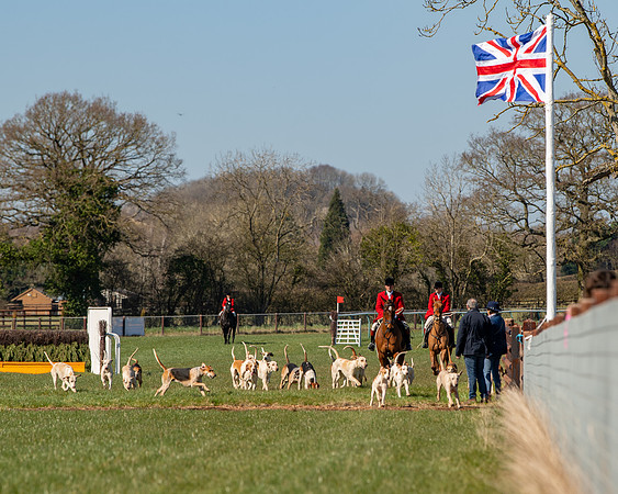 Hunt Horses annd Hound parade (23 of 44)