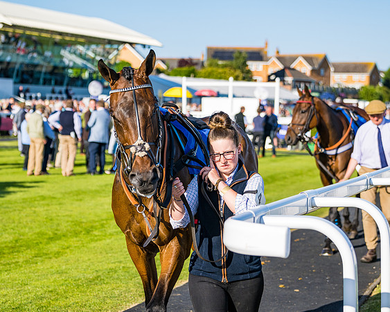 Race 3 - John Corbet Cup (16 of 127)