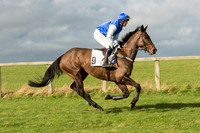 Race 2 - Young Horse Maiden (7 of 110).jpg