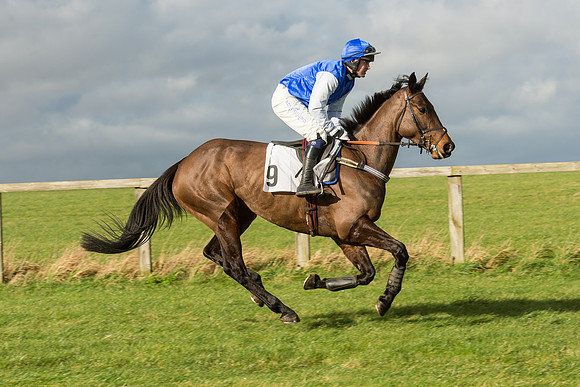 Race 2 - Young Horse Maiden (7 of 110).jpg