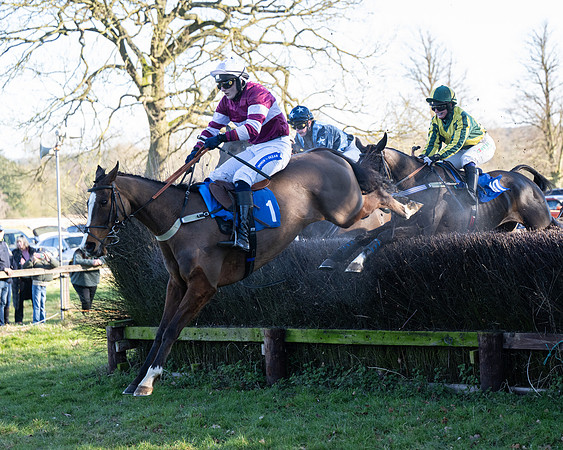Race 5 - Maiden (85 of 123)