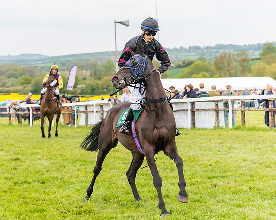 Race 7 - Veteran Horse conditions (61 of 244)