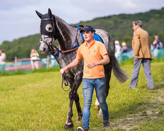 Race 6 - Open Maiden (28 of 346)