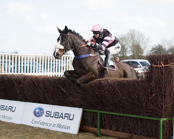 Race 1 - 4-5-6 Maiden (98 of 119).jpg