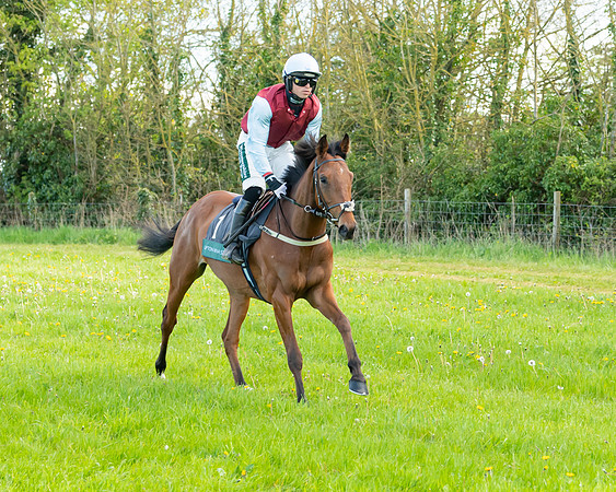 Race 7 - Maiden  (17 of 113)