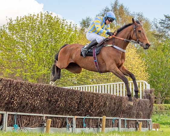 Race 5 - Novice and Veteran Riders (20 of 91)