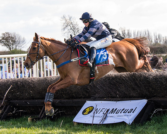 Race 4 - The Warehouse Reit Mixed Open Race  (32 of 124)