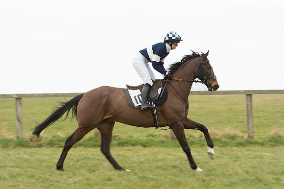Race 2 - PPORA Novice riders  (16 of 186).jpg