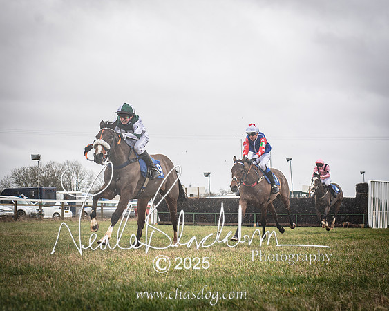 Tiny Dancer - Harry Longsdon - 1