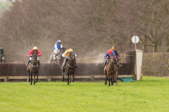 Race 2 - Young Horse Maiden (66 of 110).jpg