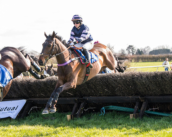 Race 5 - The Waverton Investment Management Ltd Restricted Race farmers and subscribers Race  (65 of 161)
