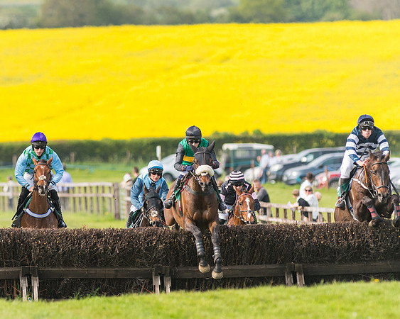 Race 5 - Restricted  (56 of 164)