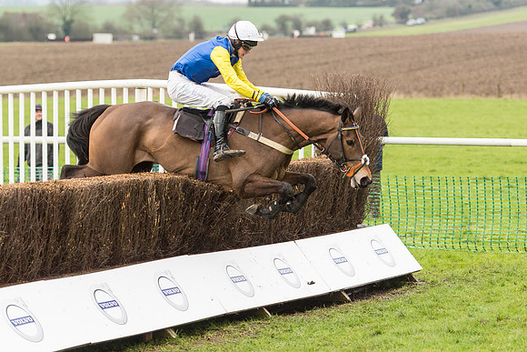 Race 1 - Young Horse Maiden (42 of 50).jpg