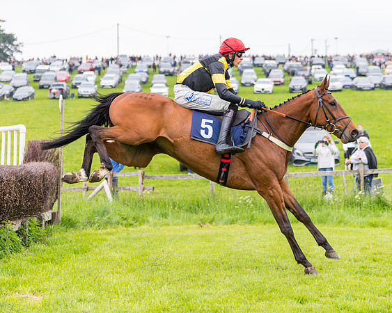 Race 2 - Five and Over restricted (64 of 136)