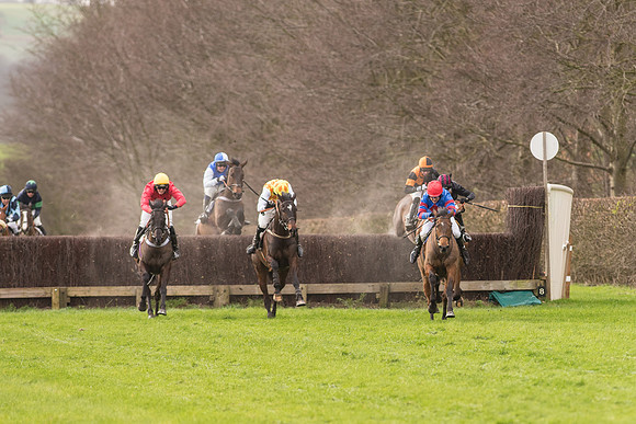 Race 2 - Young Horse Maiden (65 of 110).jpg