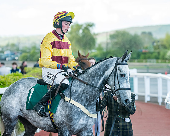 Race 5 - Mares Open  (62 of 329)