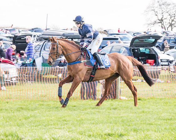 Race 4 - The Warehouse Reit Mixed Open Race  (19 of 124)